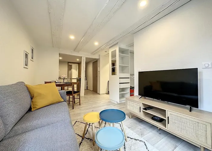 La Grenouillere Chic Centre Apartment Colmar