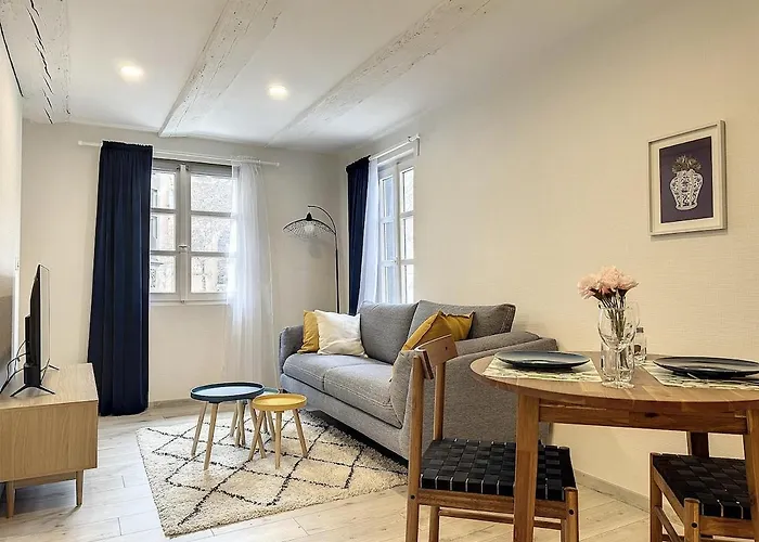 La Grenouillere Chic Centre *