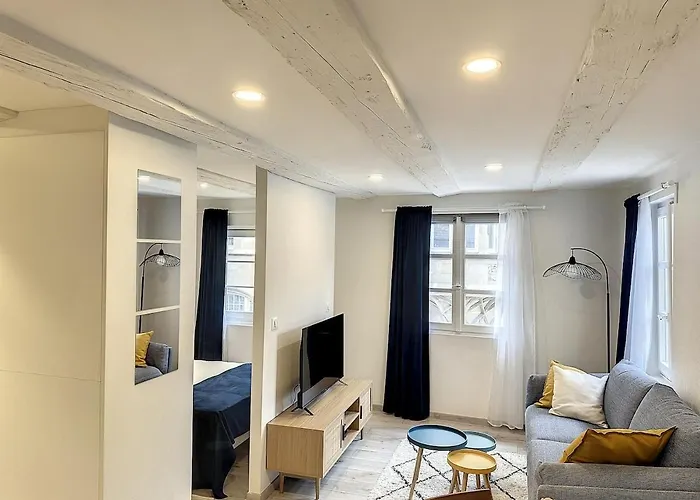 La Grenouillere Chic Centre *