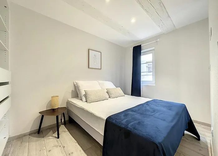 La Grenouillere Chic Centre Apartment Colmar