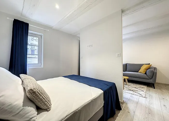 Apartment La Grenouillere Chic Centre Colmar