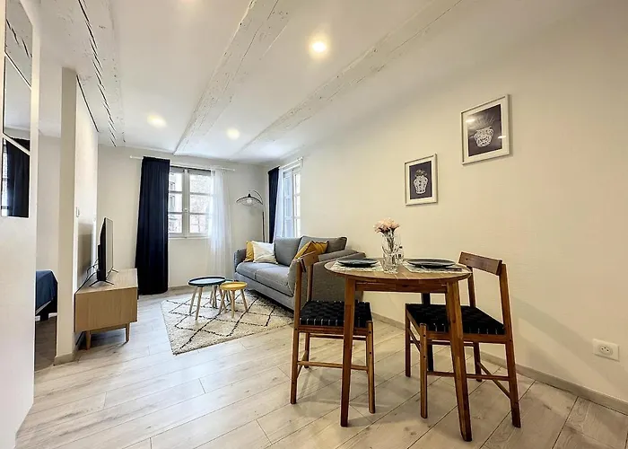 La Grenouillere Chic Centre Apartment