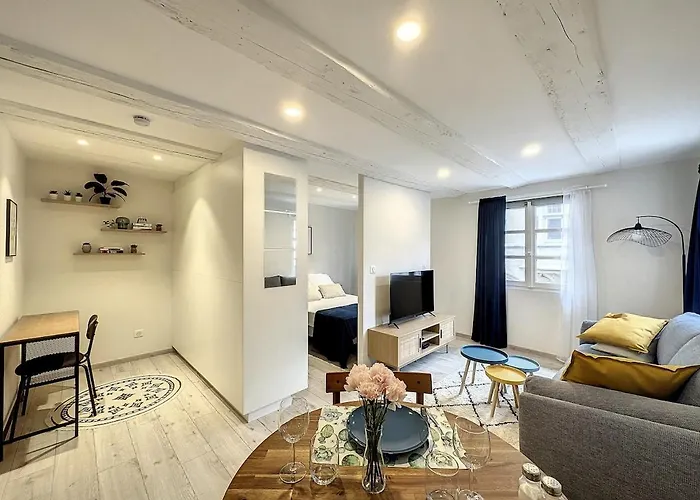 La Grenouillere Chic Centre Colmar